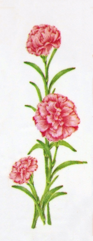 D PA DAY 001 PK Pink Carnations PROOF